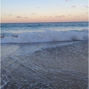 Meet your Posher, Lola